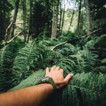 4 zlé tipy na prežitie, na ktoré treba zabudnúť